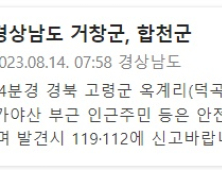 경북 고령 사설농장서 탈출한 암사자 사살…거창⋅합천 주민 '화들짝'