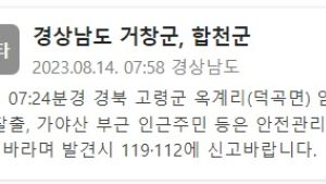 경북 고령 사설농장서 탈출한 암사자 사살…거창⋅합천 주민 '화들짝'