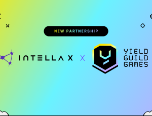 인텔라 X, ‘일드길드게임즈’와 파트너십 체결