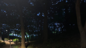 “혼자 못 다니겠어요” 범죄 현장 된 공원에 시민 불안감↑