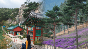산청군, 한 달 여행하기 'wellnessmate, 산청' 참가자 모집…경남 외 거주자