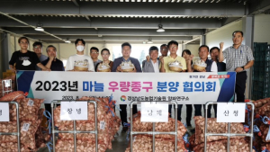 경남농기원, 도내 마늘주산지 5곳 우량종구 분양
