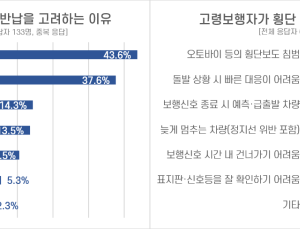 고령운전자 10명중 3명은 면허 반납 고려…“교통사고 날까봐”