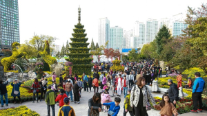 20주년 맞은 ‘익산 천만 송이 국화축제’ 오는 20일 개막
