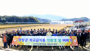 평창군, 친환경 벼 수확 시작