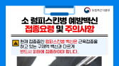 경북도, 내일부터 럼피스킨병 긴급 백신접종 시작