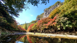 순창 강천산, 이번 주말에 단풍 절정 전망 