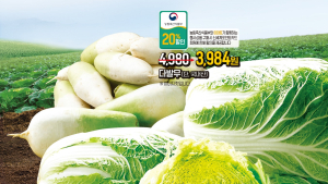 배추 1포기에 950원…이마트, 김장대전 실시