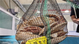 ‘일본’ 수산물, ‘국산’이라 속여… 인천 음식점 7곳 적발