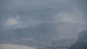 울산 울주 산불…40여분 만에 진화