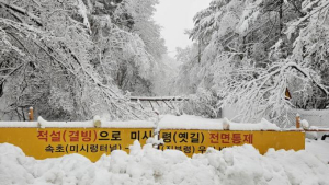 중·서부 대설 위기경보 ‘주의’로 상향…중대본 가동