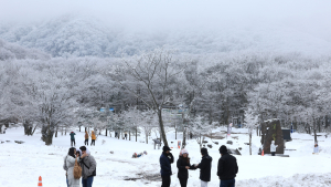 한라산은 '은빛 천국' 