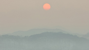 임실군, 갑진년 새해 첫날 국사봉 해맞이 축제