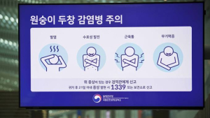 엠폭스 경증환자, 내년부터 일반 병의원 진료 가능