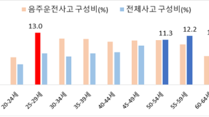 5년간 음주운전 사고…20대 후반 운전자 '최다'