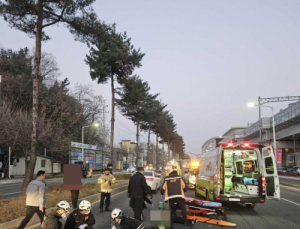 저조한 고령 운전자 ‘면허 반납률’...“설득 방안 보완해야”
