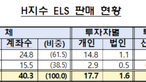 홍콩 ELS , 상반기 10.2조원 만기…금감원 현장점검 착수