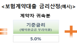 보험계약대출 금리 산정 비합리적…금감원 “개선 지도”