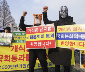 동물단체 '개식용 금지법 본회의 통과 환영'