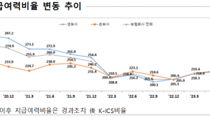 경과조치 적용에 한숨 돌린 보험사들…MG손보는 여전히 미달