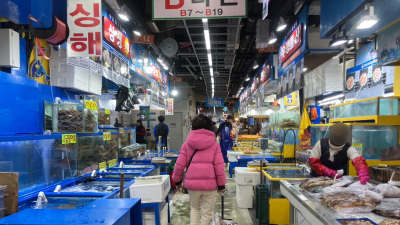 日방사능 오염수 걱정 사라질까...가락시장 수산물 정밀검사 개시 