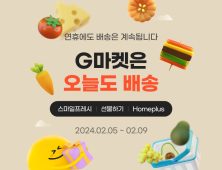 “배송 걱정 NO”…이커머스, 연휴 직전 당일배송 강화