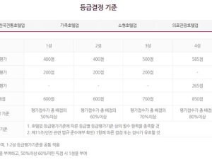 롯데·조선·신라 찾는 ‘몰래 온 손님’…호텔 등급 심사 완화된다