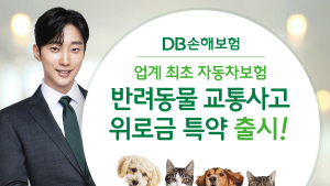 DB손보, 업계 첫 `반려동물 교통사고 위로금’ 특약 外 흥국생명·농협손보 [쿡경제]