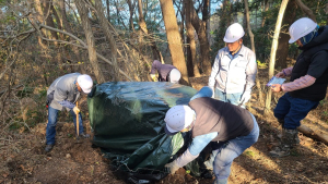 통영시, 소나무재선충병 도서지역 긴급방제...국·도비 22억원 확보