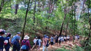 트레킹도시 원주, 걷기여행길 프로그램 운영
