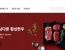횡성몰 입점 참여기업 모집…22일까지
