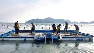 군산시, 수산분야 외국인 계절근로자·고용어가 모집