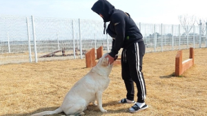 부안군, 이달부터 반려동물 놀이터 운영 재개