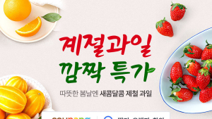 쿠팡 로켓프레시, 과일 450톤 매입해 할인 판매
