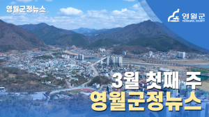 영월 군정뉴스, 플랫폼 다양화로 새롭게 개편