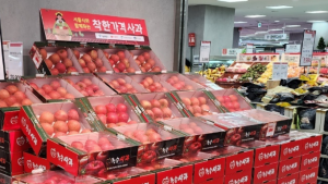 ‘금’사과 정부 개입에 소매가격 10% 넘게 떨어졌지만, 도매가격은 여전