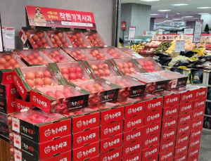 ‘금’사과 정부 개입에 소매가격 10% 넘게 떨어졌지만, 도매가격은 여전