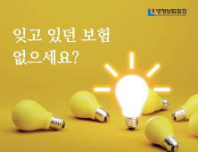 지갑 사정 어려운 이때…‘내보험 찾아줌’ 서비스 눈길