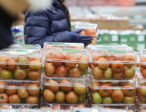 ‘홀로 가격 상승’ 방울토마토, 지난해比 30%↑