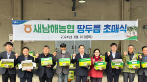 남해 맛좋고 영양가득 봄나물 '땅두릅' 본격 출하