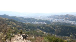 “봄꽃 소풍, 가족과 함께 전북 천리길 걸어요!”
