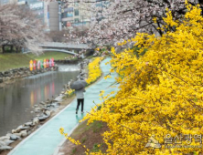 [날씨]부울경(3일) 전국에 비...저녁에 그치겠지만 곳에 따라 밤까지 오는 곳도 있어..