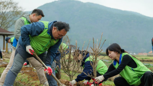 LH, 산불피해 지역 탄소상쇄 숲으로 탈바꿈 추진