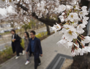 낮 최고 26도 ‘초여름 날씨’…큰 일교차 주의 [날씨]