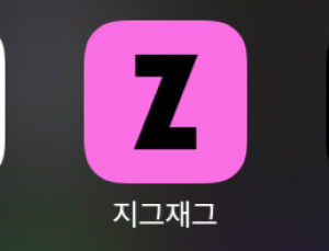 中이커머스 확산에...지그재그·브랜디까지 ‘긴장’