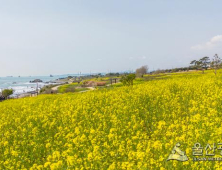 [날씨]부울경(9일) 포근하고 온화한 날씨...일교차는 여전히 커 건강관리 유의 