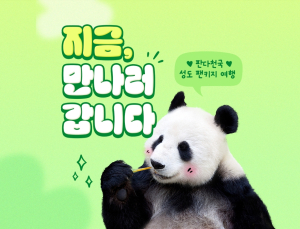 “팬더 보러 떠나요” 하나투어, 청두 4박5일 패키지 출시