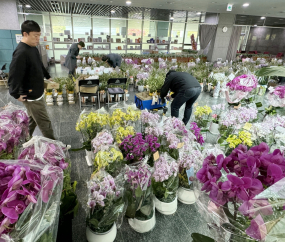 “축 당선” 난향 가득한 국회의원회관