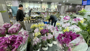 “축 당선” 난향 가득한 국회의원회관