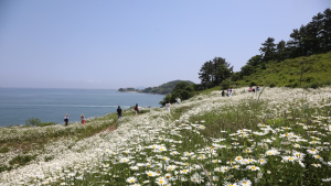 부안군, 변산마실길 1코스 임시 우회탐방로 운영